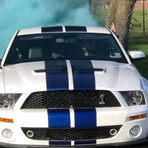 Meet your Posher, Ann